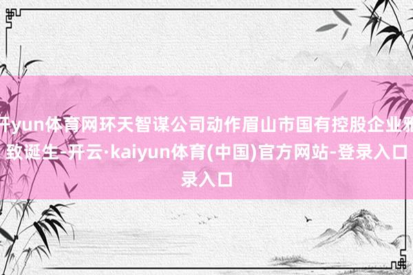 开yun体育网环天智谋公司动作眉山市国有控股企业雅致诞生-开云·kaiyun体育(中国)官方网站-登录入口