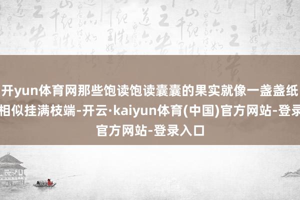 开yun体育网那些饱读饱读囊囊的果实就像一盏盏纸灯笼相似挂满枝端-开云·kaiyun体育(中国)官方网站-登录入口