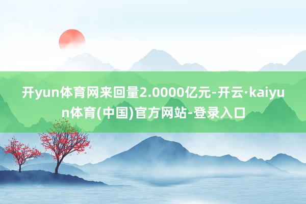 开yun体育网来回量2.0000亿元-开云·kaiyun体育(中国)官方网站-登录入口
