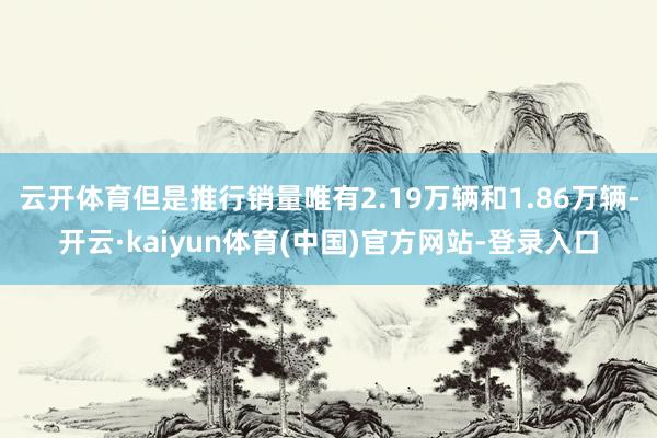 云开体育但是推行销量唯有2.19万辆和1.86万辆-开云·kaiyun体育(中国)官方网站-登录入口